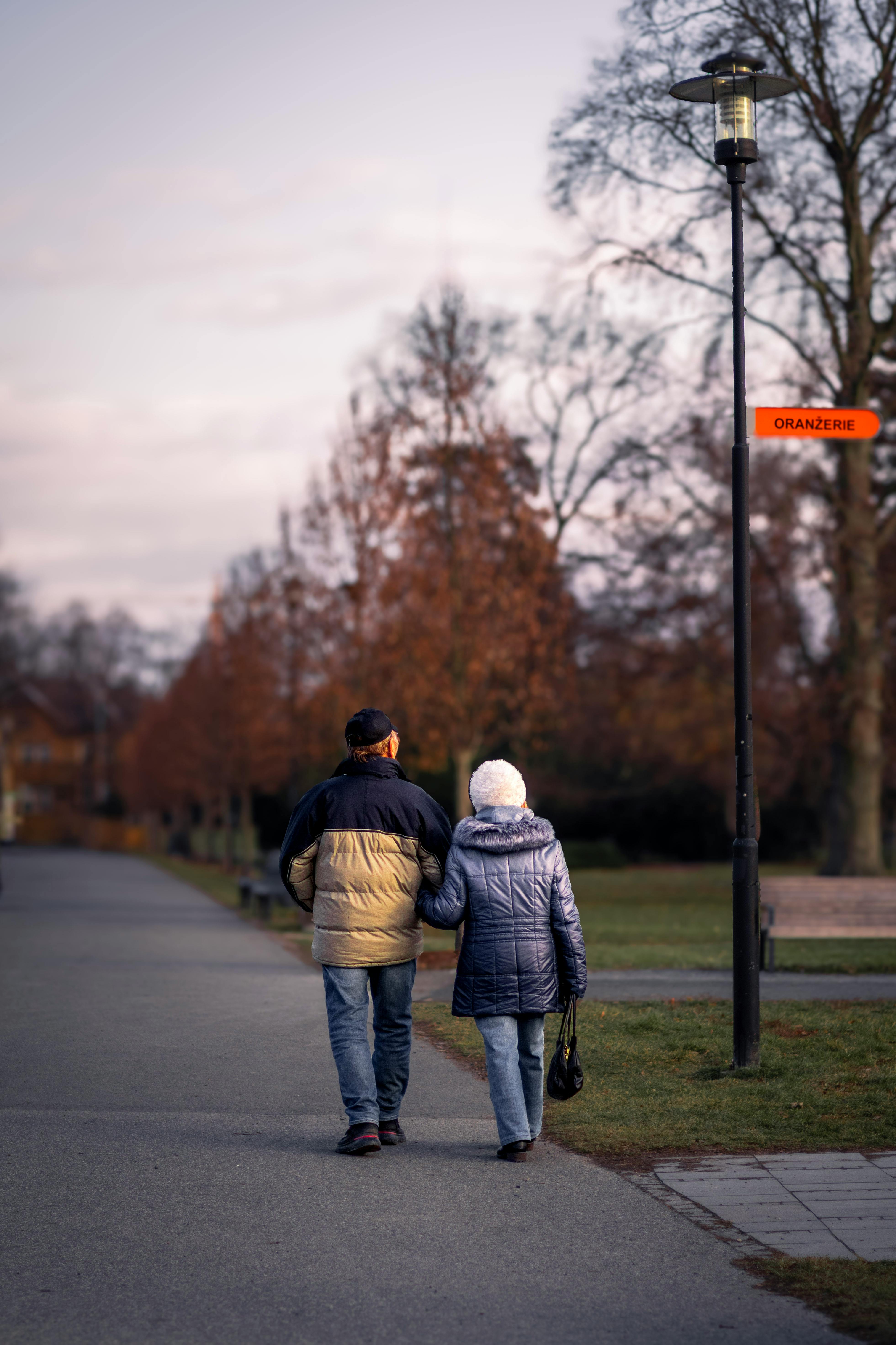免費 一對老夫婦手牽手漫步在寧靜的秋季公園。 圖庫相片