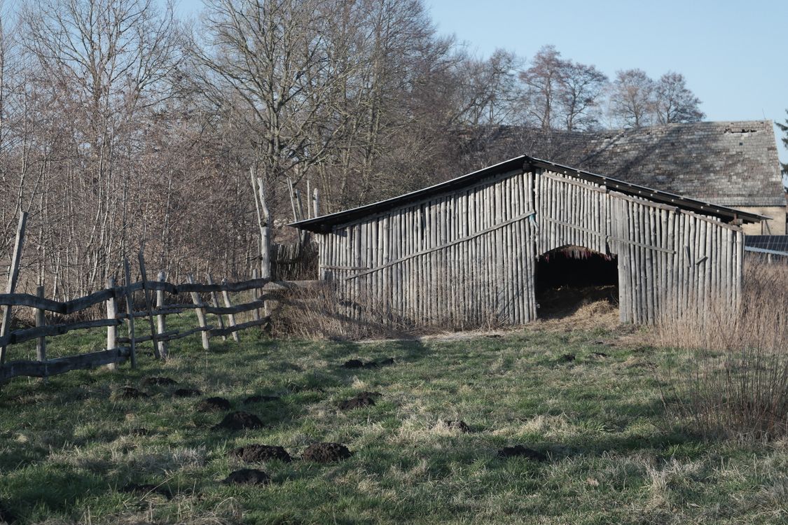 Rustic Wooden Barn in Countryside Landscape · Free Stock Photo