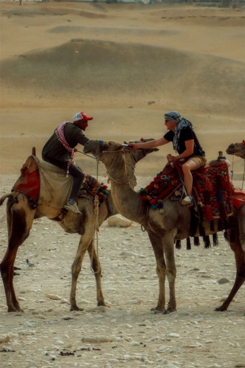 Camels Being Ridden Two Riders on Camels in Desert Landscape · Free Stock Photo