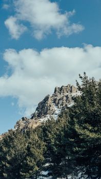 Scenic view of a rocky mountain peak with pine forest and blue sky, perfect for nature enthusiasts.