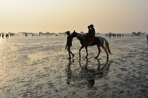 Free Serene sunset horse ride along Mumbai's beach, capturing tranquility. Stock Photo