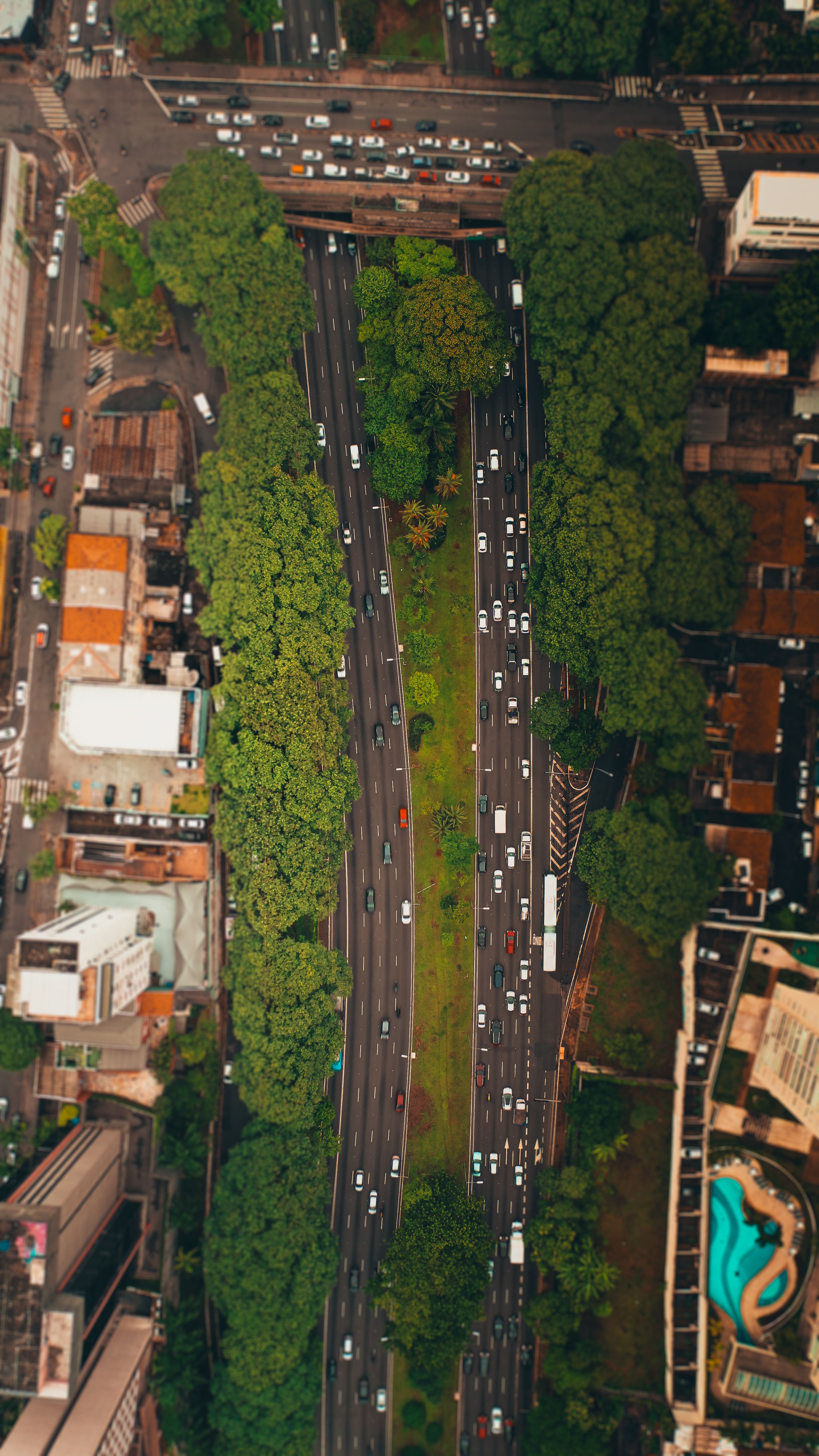 Vista Aérea De Uma Rua Urbana Com Vegetação E Trânsito · Foto ...