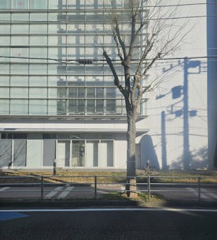 A cityscape featuring a modern building facade with tree shadows in urban setting.