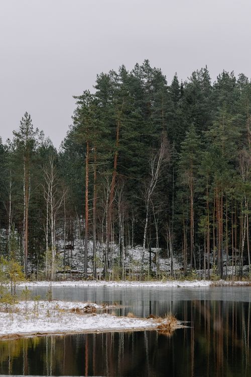 Free Snow-dusted trees reflecting in a calm lake during winter, creating a peaceful scene. Stock Photo