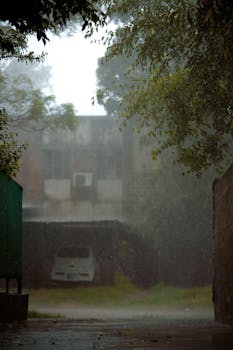 A tranquil rainy day scene in an urban setting with wet pavement and a sense of solitude.