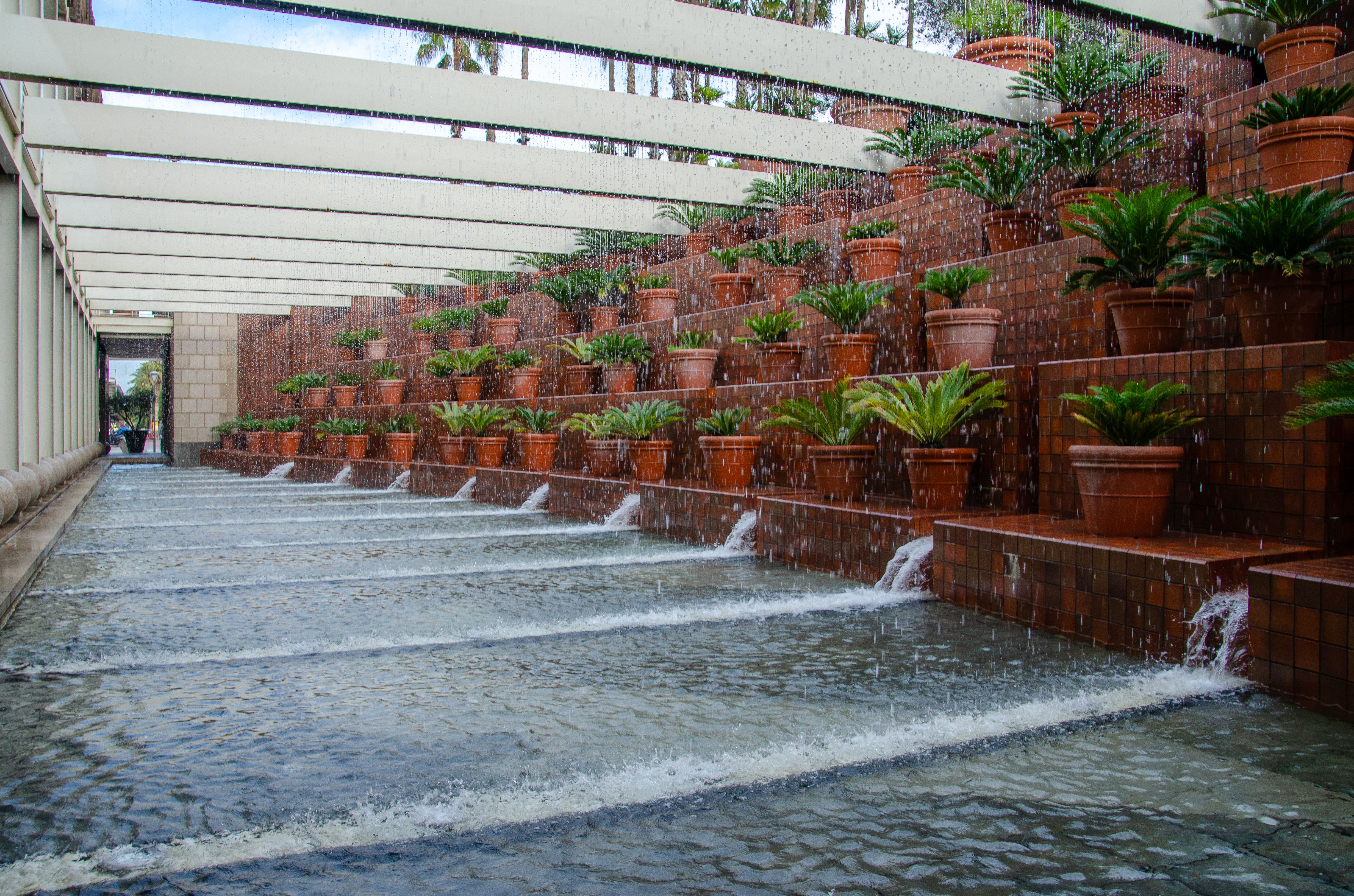Espelho d'água ou lago ornamental: qual a diferença de manutenção e custo?