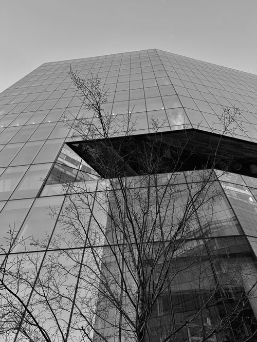 Free Black and white photo of a modern glass building with tree reflections. Stock Photo