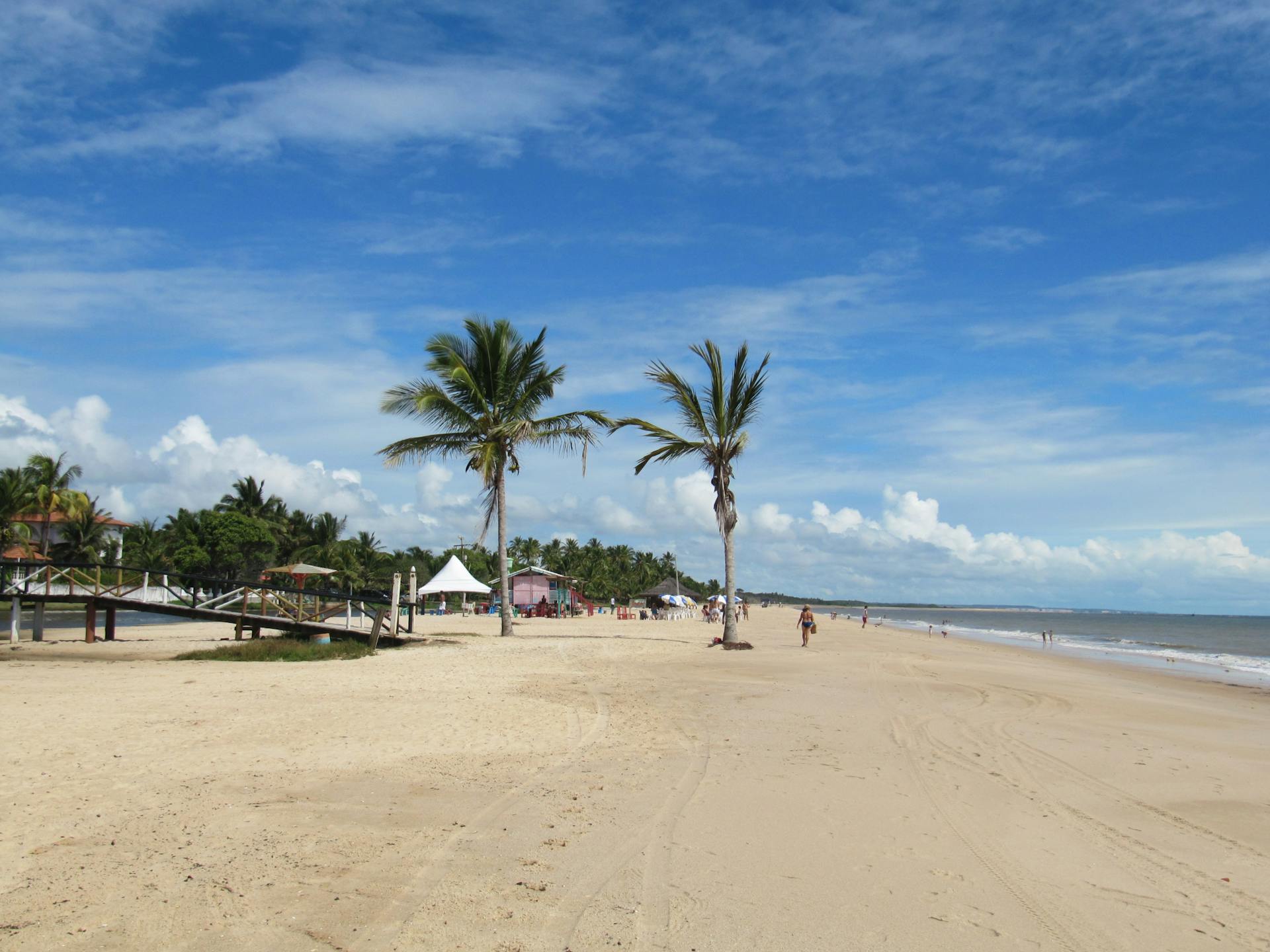 Idyllic tropical beach scene with palm trees and clear blue sky, perfect for summer vacations.