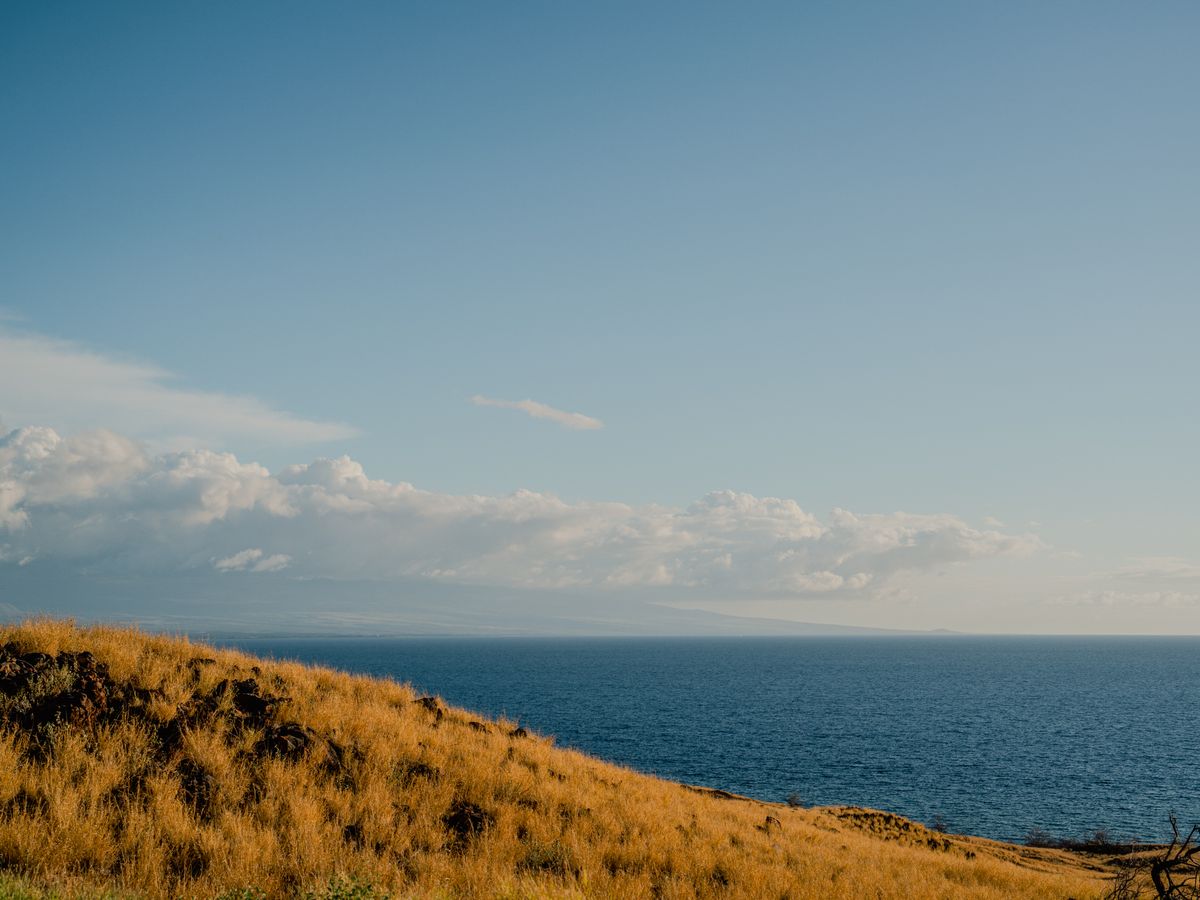 7 Day Nervous System Restoration Retreat in Oahu Hawaii, USA 1