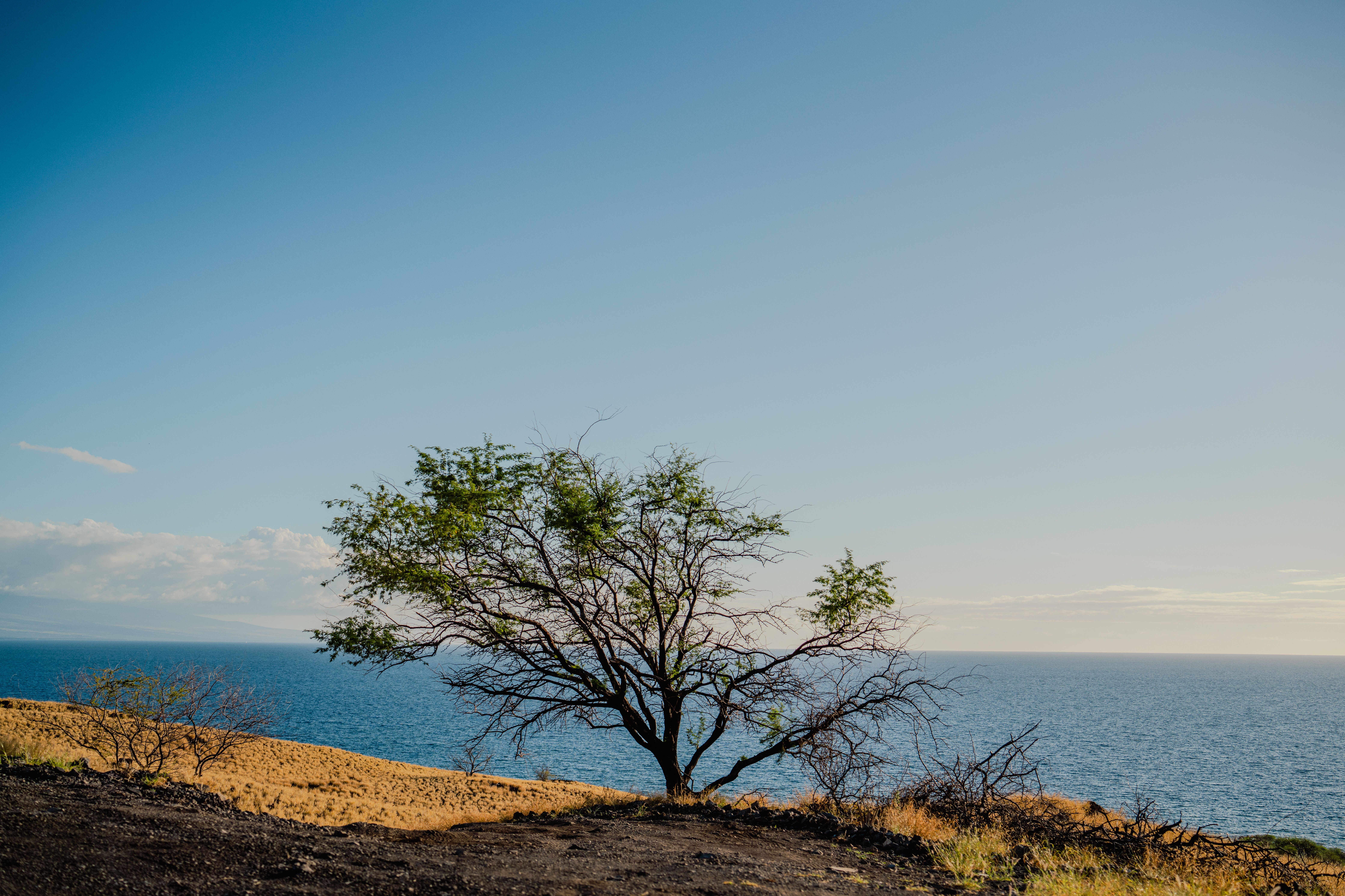 Hawaii Wellness Retreat 1