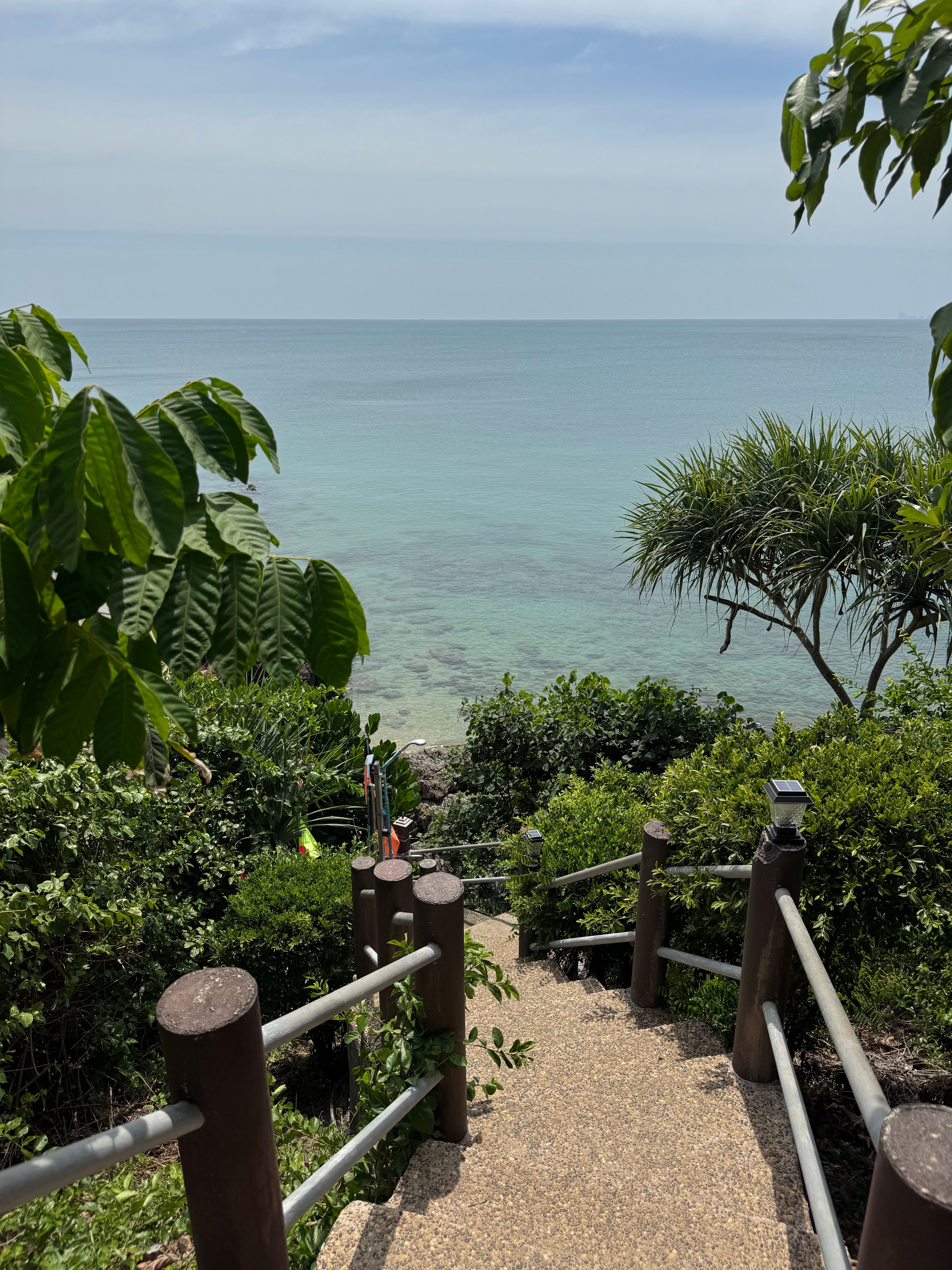Scenic Coastal Pathway Leading to Ocean View · Free Stock Photo
