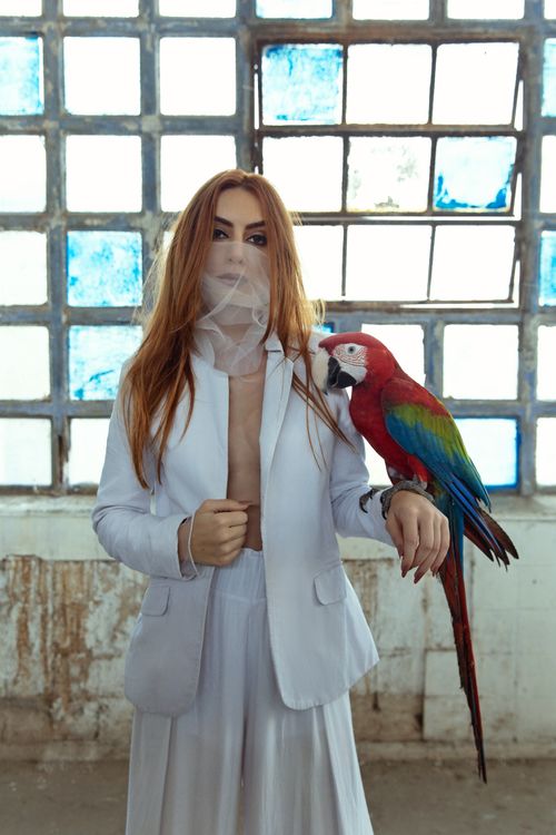Free Fashionable woman poses with a scarlet macaw against a rustic window backdrop in Rio de Janeiro. Stock Photo