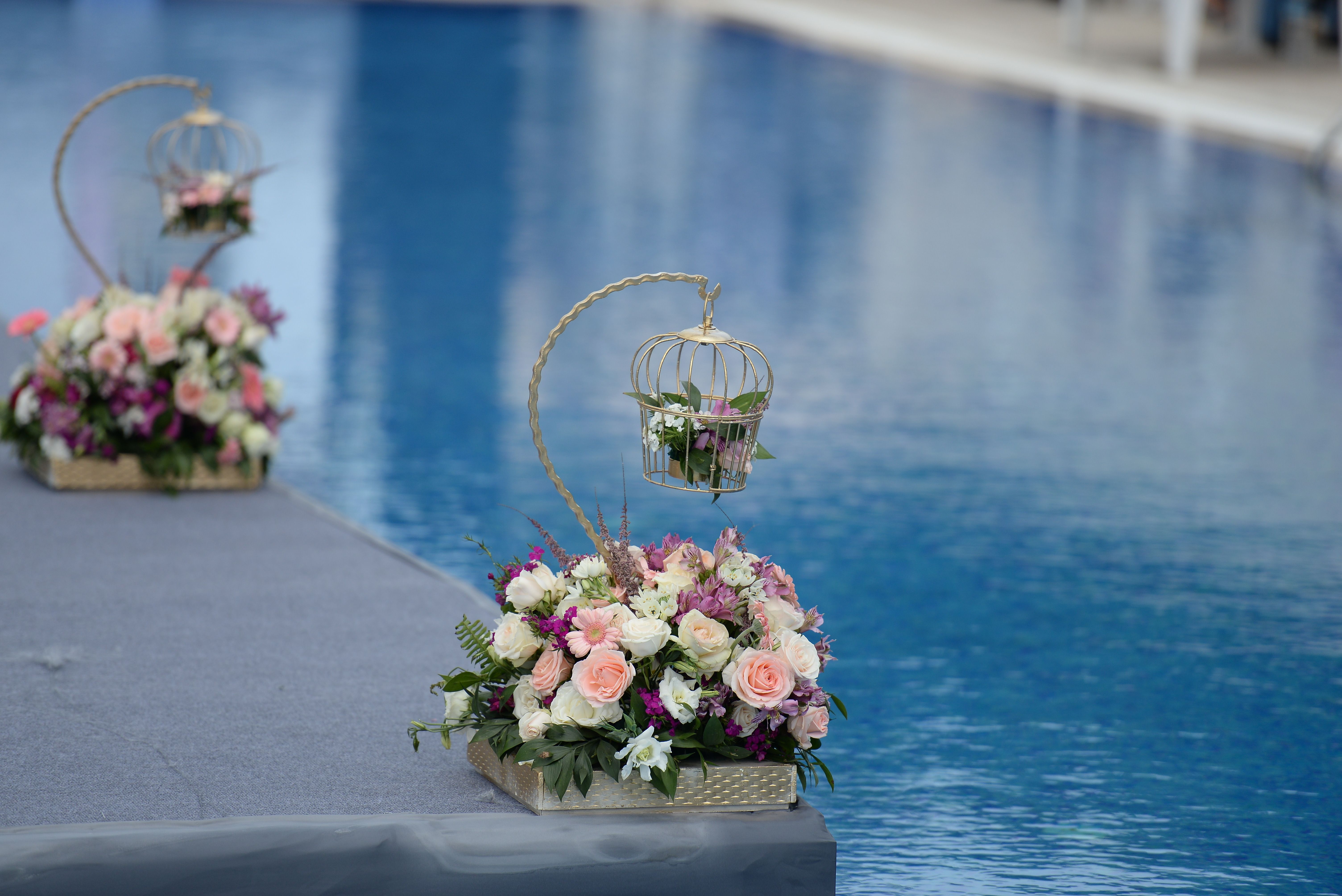 Elite Marassi Summer Event Planner | Luxury Sahel Events