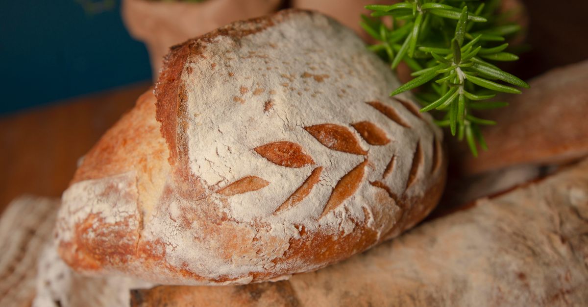 Sourdough Starter (7-Day Guide)