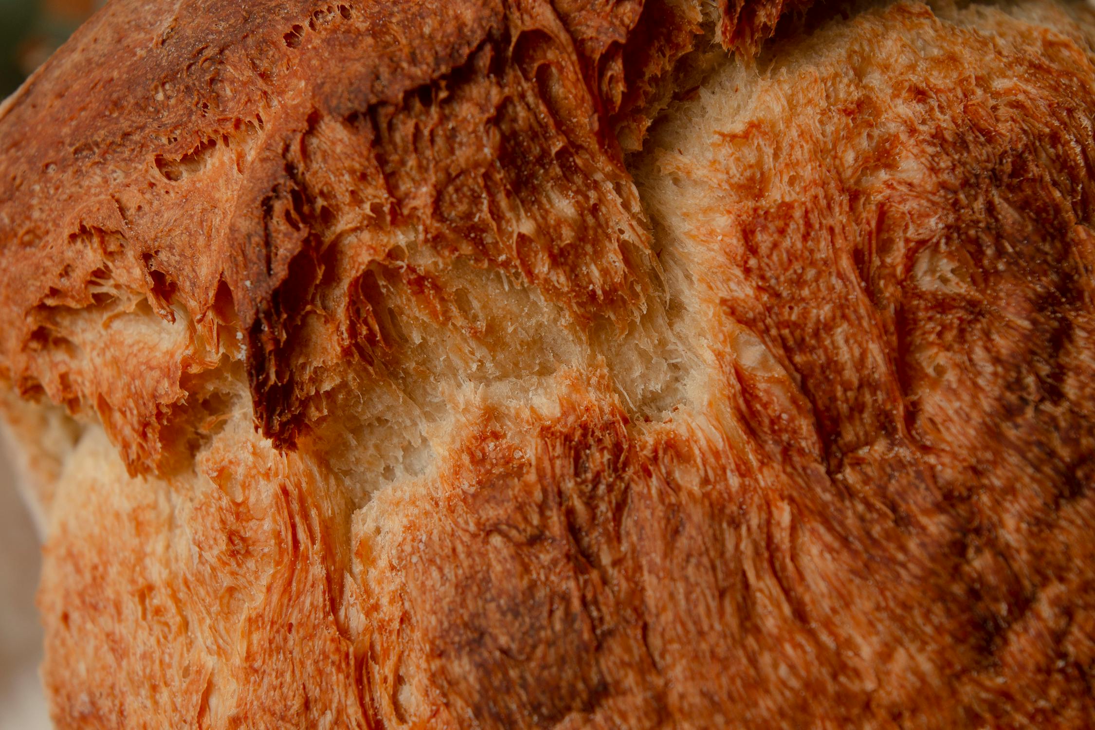 Close-up of Freshly Baked Bread Crust Texture · Free Stock Photo