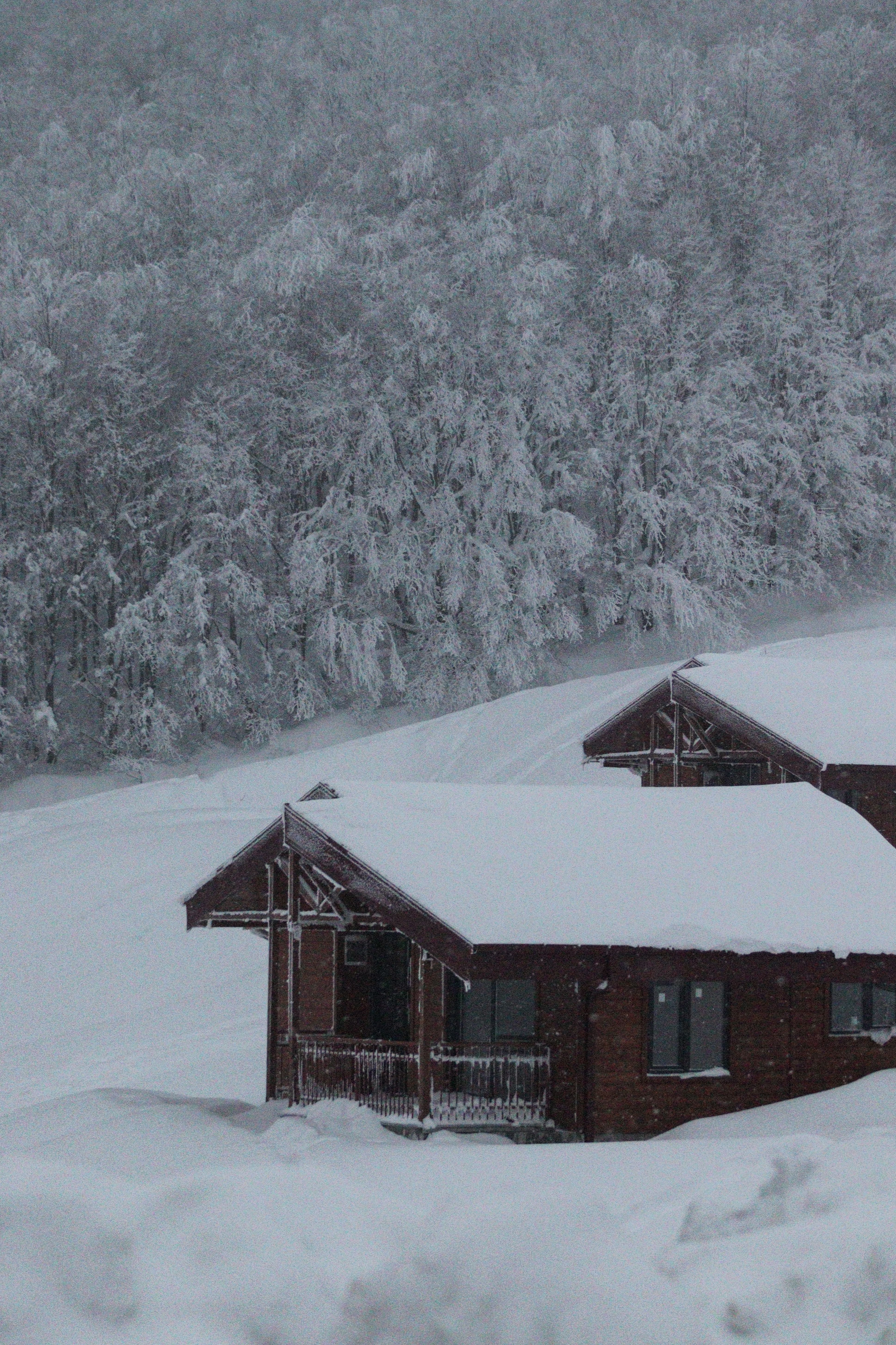 Cozy Mountain Chalet in Winter Wonderland · Free Stock Photo