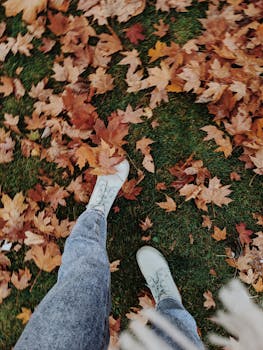 穿着牛仔裤和运动鞋的人走在铺满秋枫叶的草地上