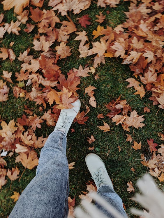 High-Angle Photo of Person Wearing Shoes