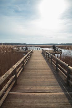 Tranquil wooden boardwalk extending over a serene lake surrounded by reeds under a partly cloudy sky.