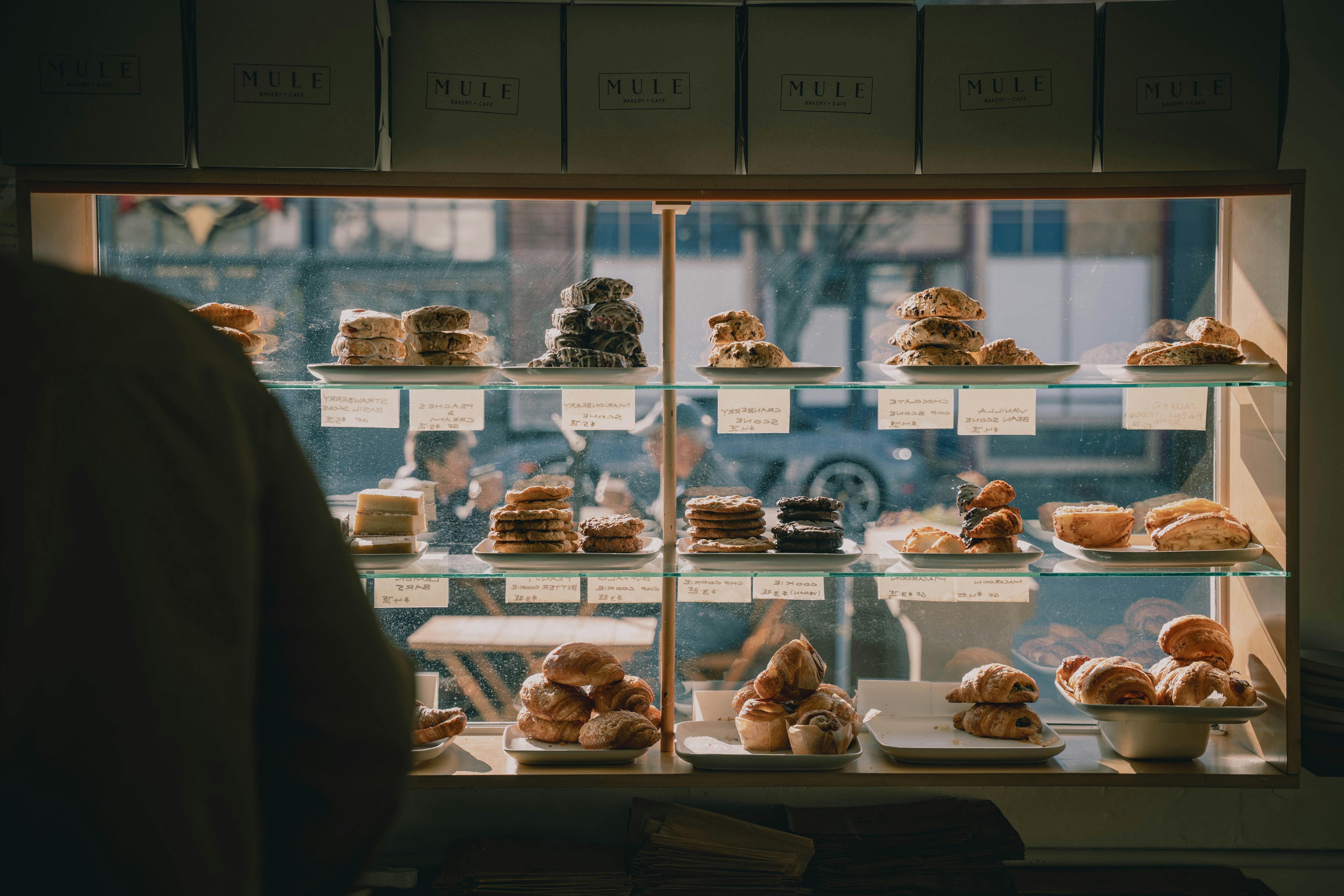 Best small business insurance of May 2026 — Photo by James Collington on Pexels