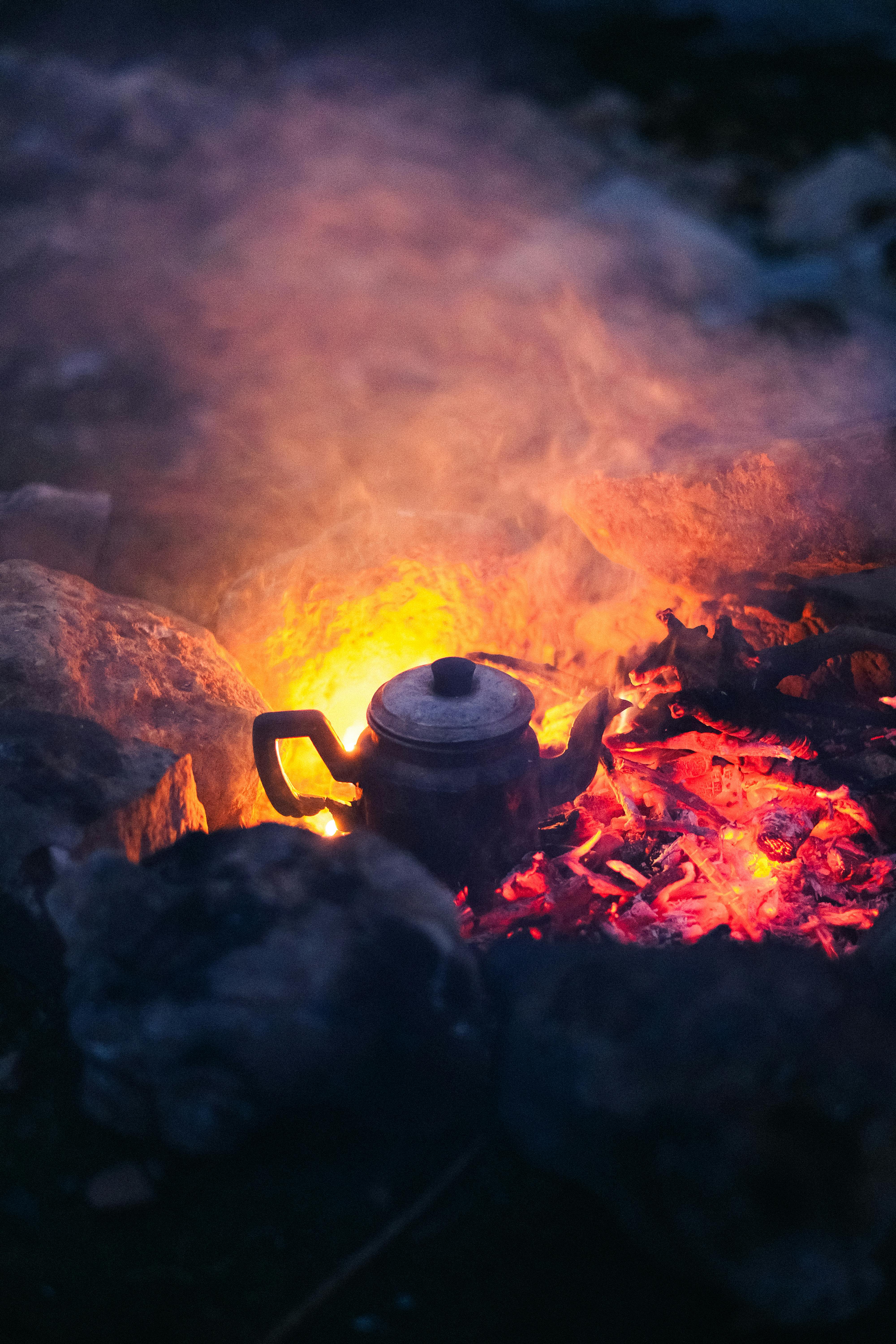 The Benefits of Choosing a Wholesale Tea Supplier