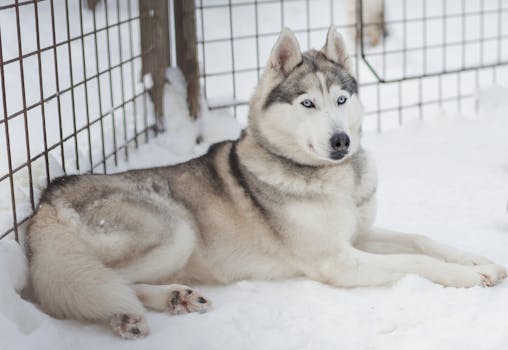 Rovaniemi, Finland photo 3