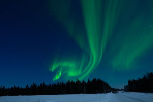 Stunning aurora borealis illuminating a snowy forest under a starlit sky.