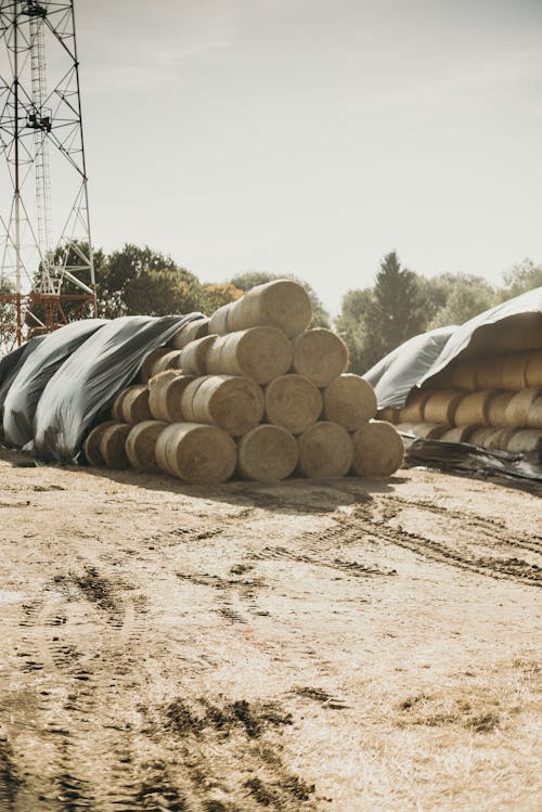 Pile of Hay Bales