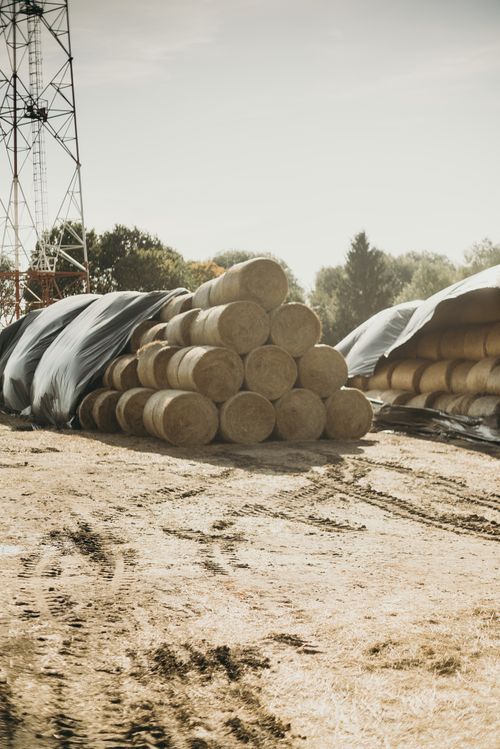 Free Towering hay bales covered by tarps in a rural Russian landscape with a telecom tower in the background. Stock Photo