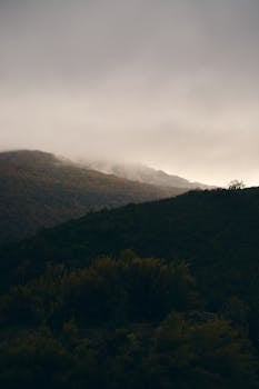 Serene and majestic view of misty mountains in fall, capturing nature's tranquility.