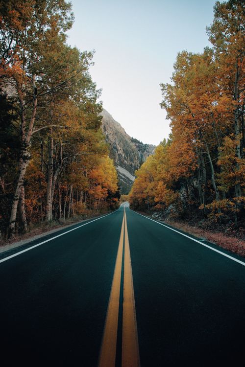 Free Beautiful autumn road through forest with vibrant fall foliage and mountains. Stock Photo