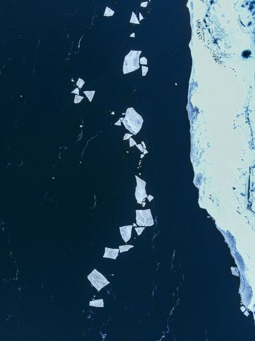 Free A stunning aerial shot of ice floes floating on dark water near a snowy shoreline. Stock Photo