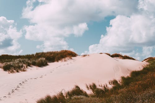 Fußabdrücke Auf Sand