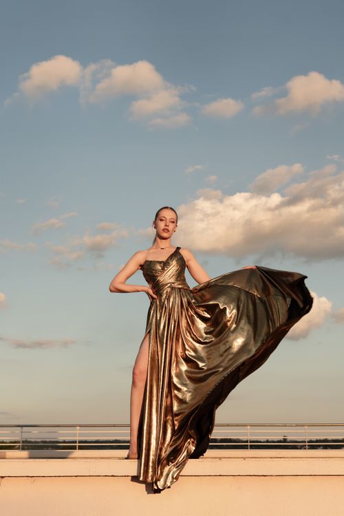 Golden Dress Scenic Fashion Photography Free Stock Photo Golden Dress Scenic Fashion Photography Free Stock Photo