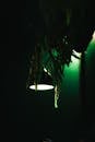 Moody Green Light with Hanging Foliage