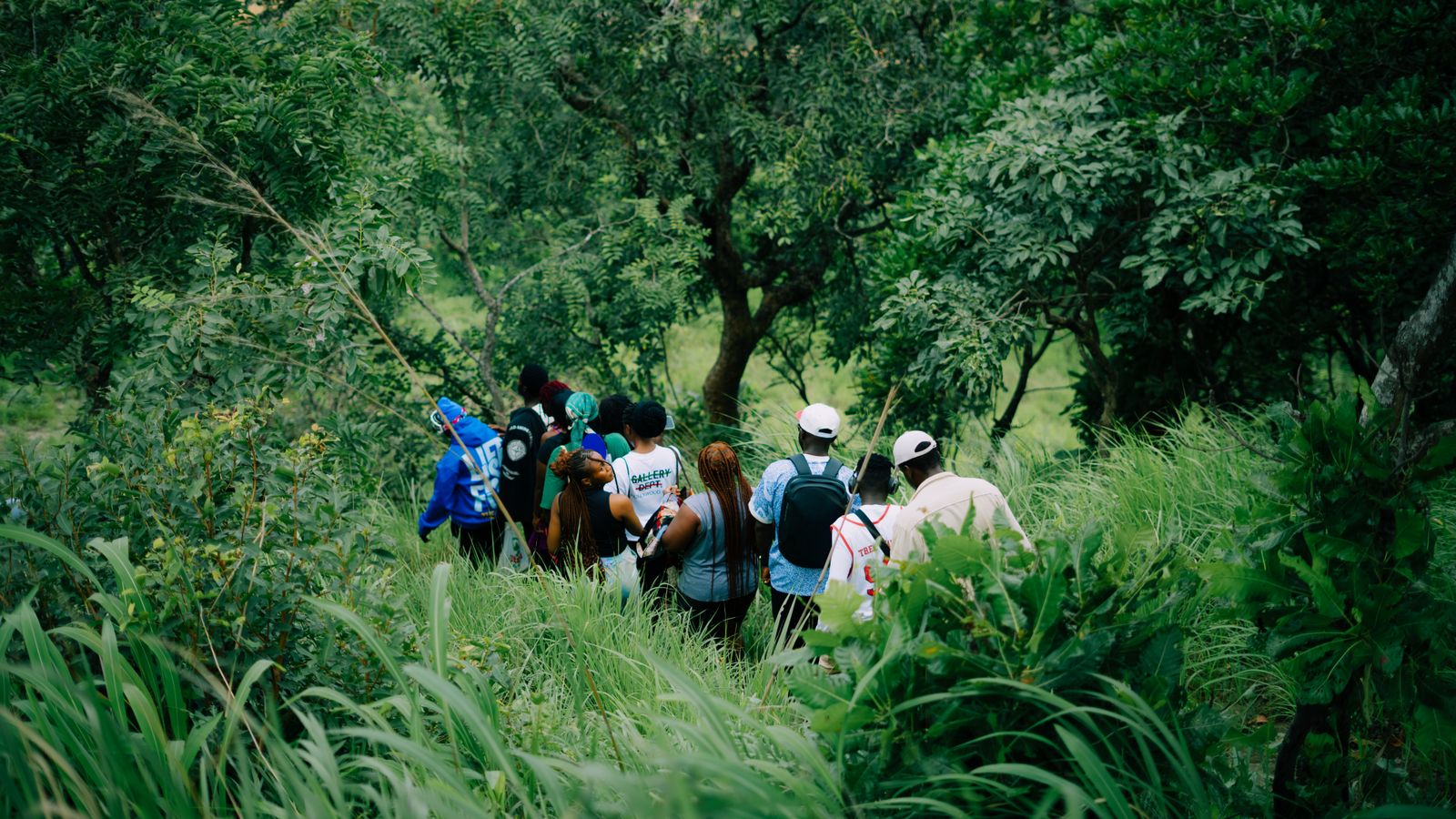 Group hiking adventure through lush green forest, Gabon