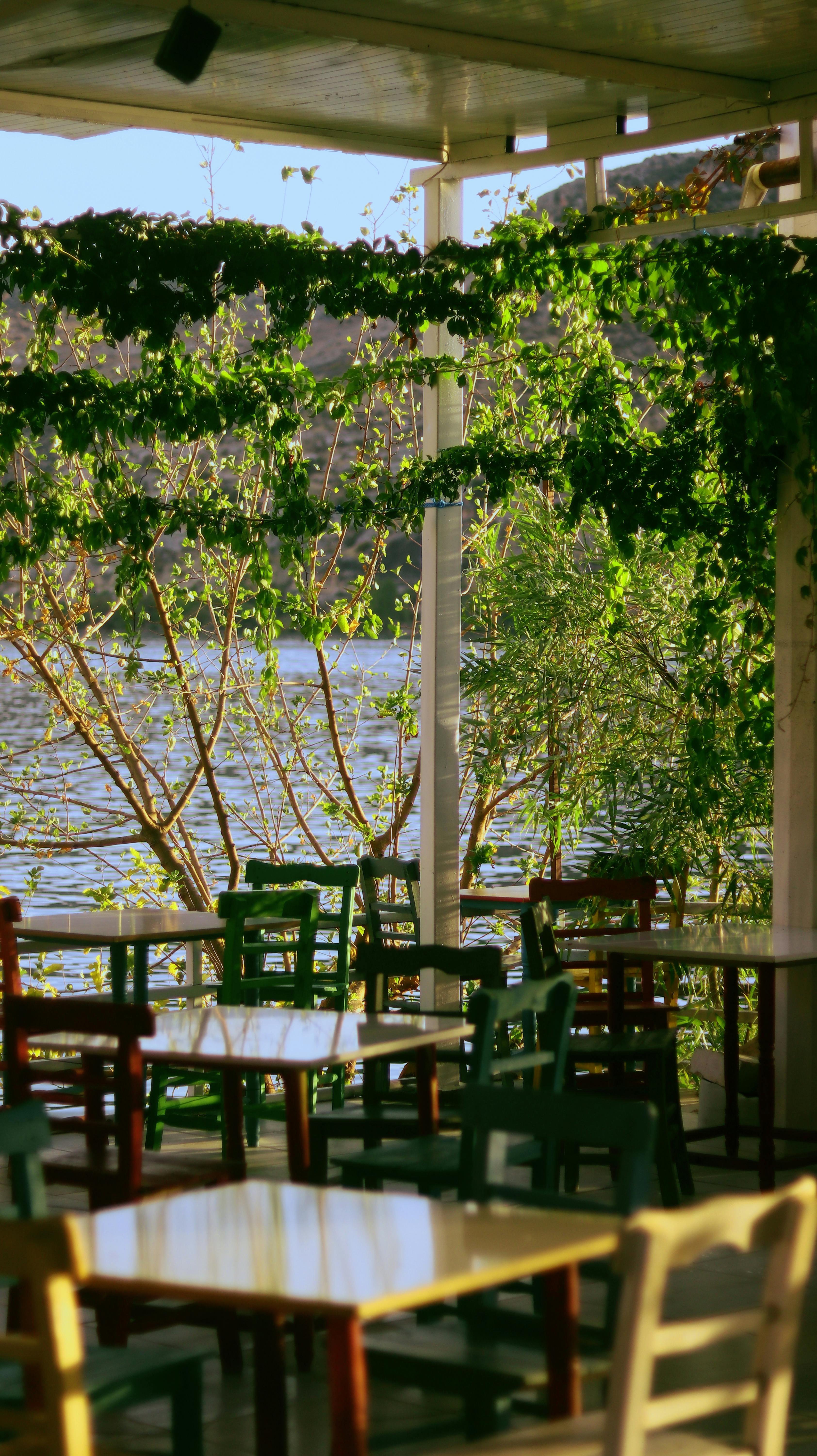 Charming outdoor seating area of a lakeside café in Halfeti, Türkiye, surrounded by lush greenery.