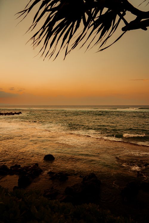 Free Tranquil sunset view over the ocean in Paia, Hawaii with palm tree silhouette. Stock Photo