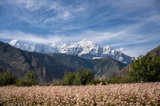Annapurna foothill trek (3–5 days) — Nepal