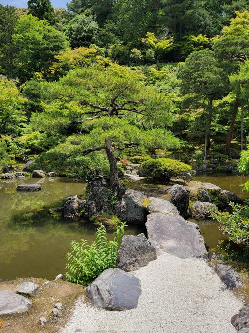 Free Serene Japanese garden featuring lush greenery and stone pathway by a pond. Stock Photo