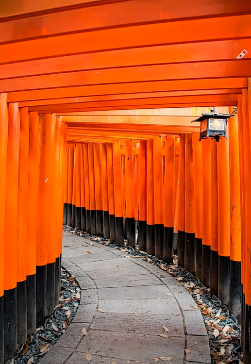 El Emblemático Camino De Las Puertas Torii De Fushimi Inari Taisha ...
