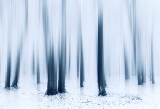 Abstract winter forest scene with blurred trees creating a ghostly effect.
