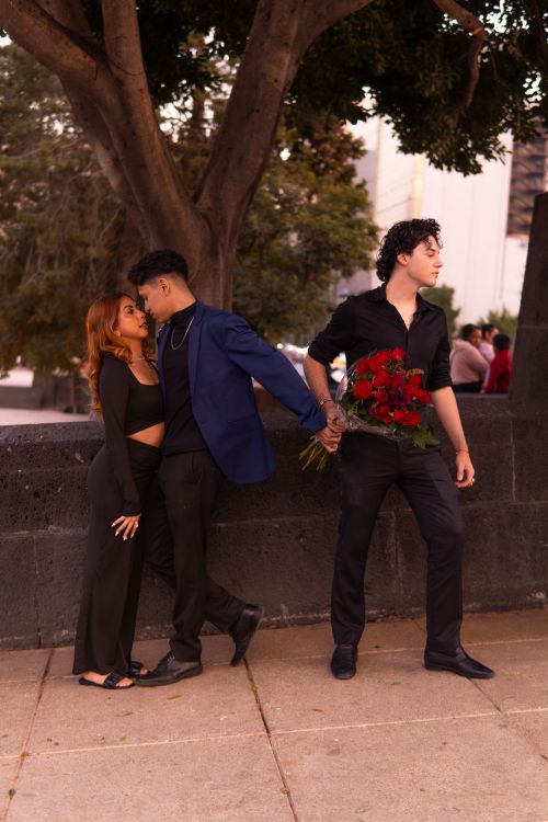 Free A love triangle unfolds with red roses in urban park setting against a sunset backdrop in Mexico City. Stock Photo