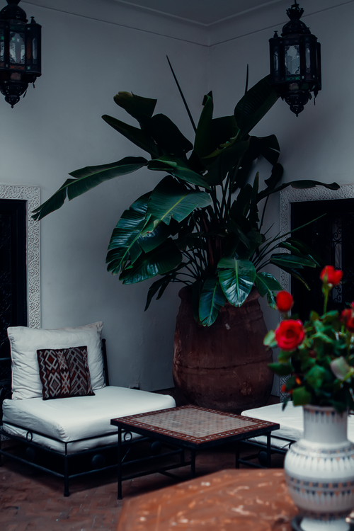Free Elegant Moroccan patio featuring traditional furnishings and lush greenery, perfect for relaxation. Stock Photo