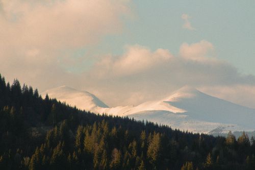 Free Breathtaking view of the Carpathian Mountains during golden hour, showcasing snow-covered peaks and a lush forest below. Stock Photo