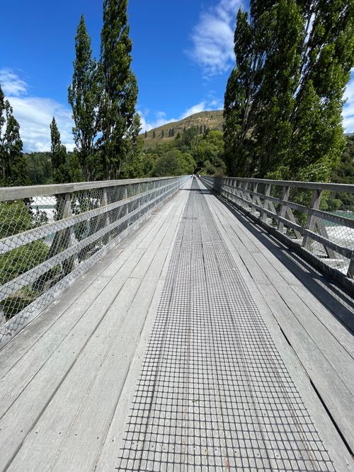 Free Wooden bridge surrounded by tall trees and blue sky on a sunny day. Stock Photo
