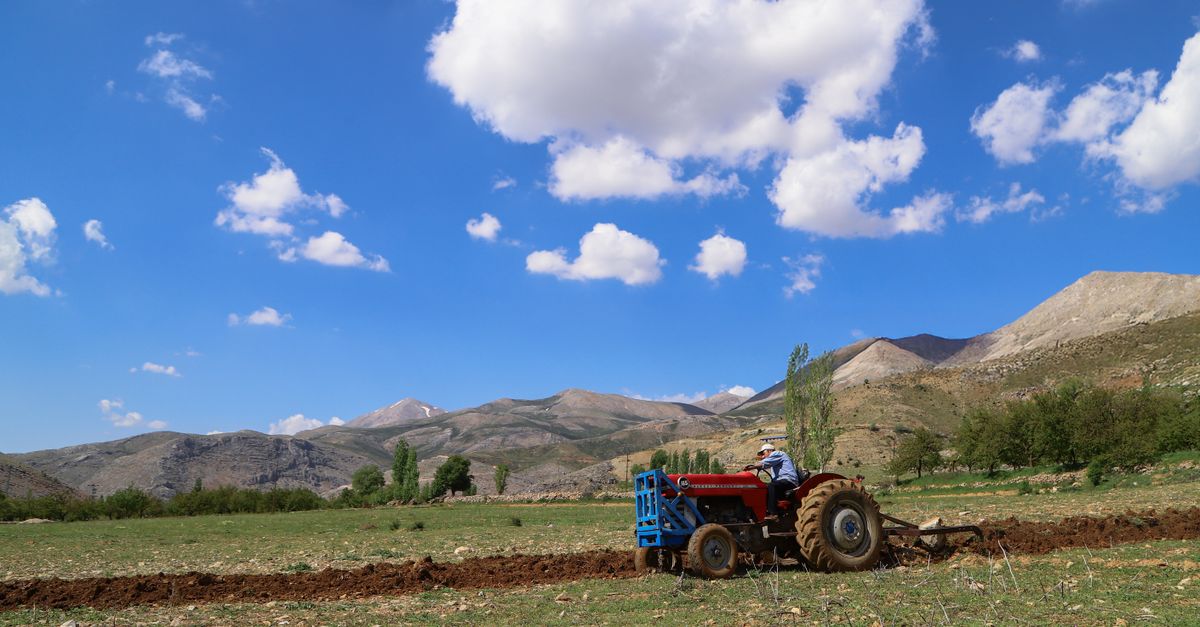 Cómo las innovaciones agrícolas impulsaron el crecimiento demográfico global Cómo las innovaciones agrícolas impulsaron el crecimiento demográfico global