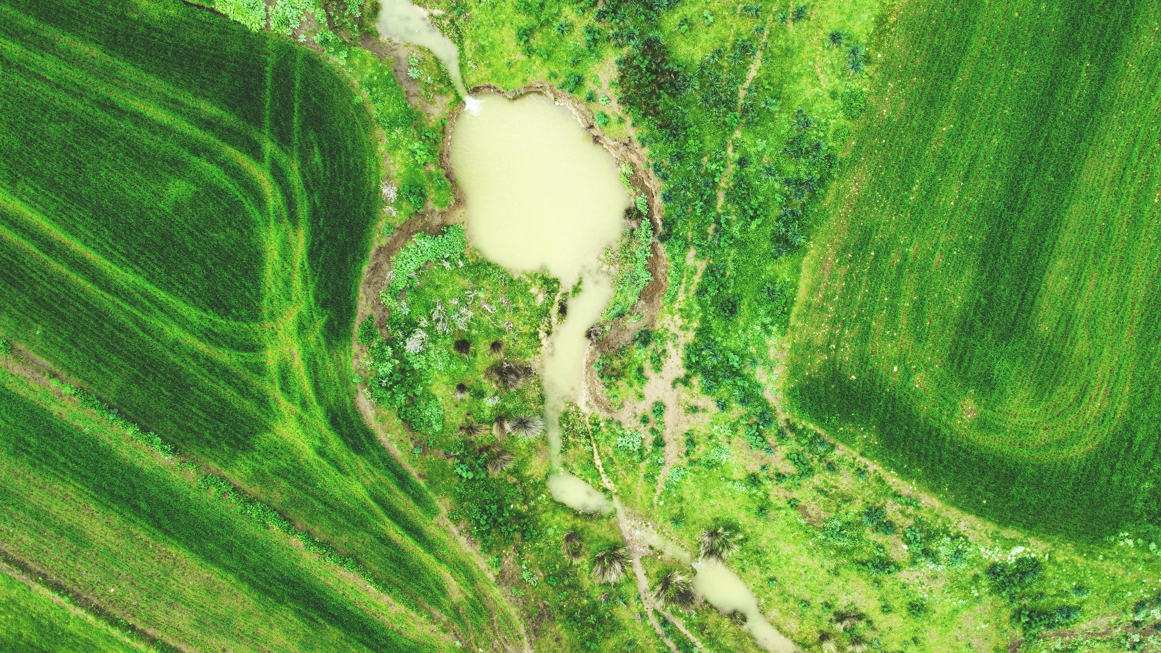climate resilience ecosystem restoration — Photo by sayari bechir on Pexels
