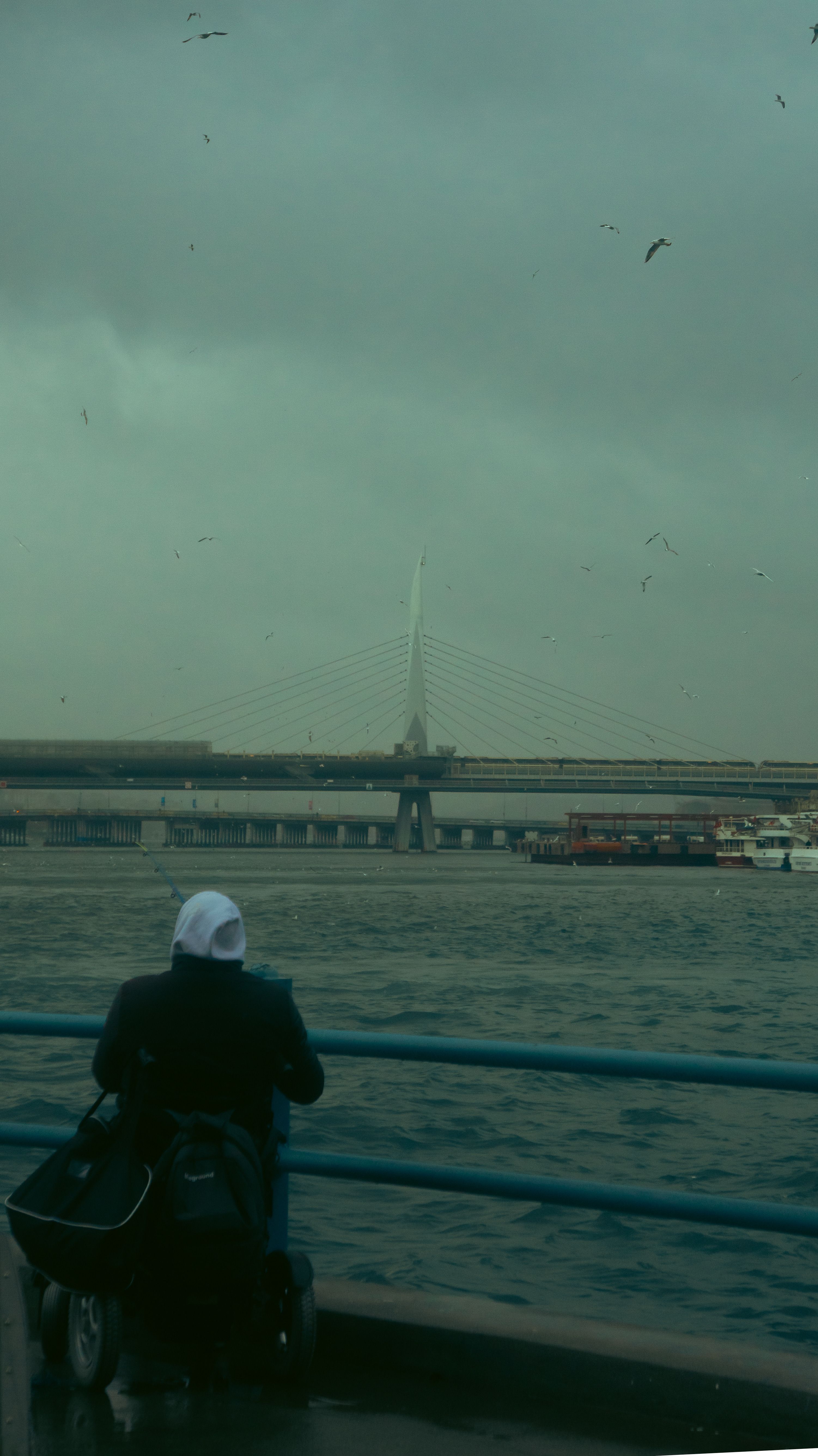 A person looks at the river near a modern cable-stayed bridge, under a cloudy sky, creating a serene scene.