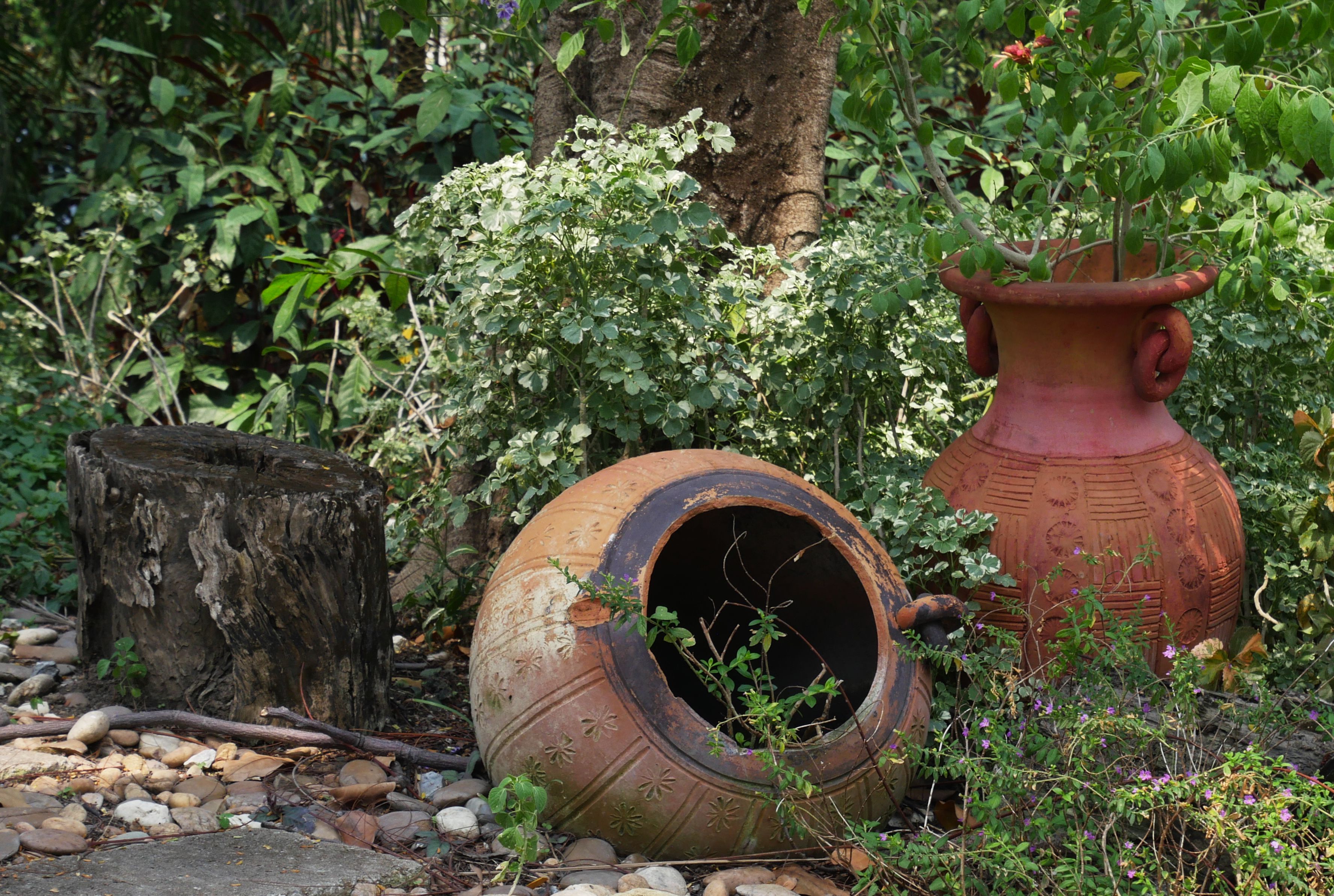 Rustic garden with a wooden stump and clay pots — sometimes leaving a stump in place makes sense in Surrey BC